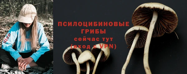 метадон Богородицк