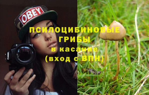 гидропоника Богданович