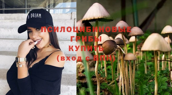 гидропоника Богданович