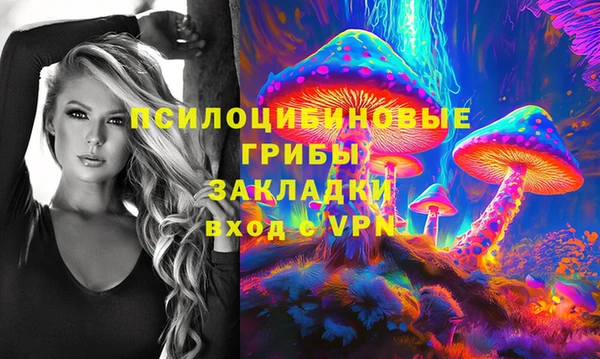 гидропоника Богданович