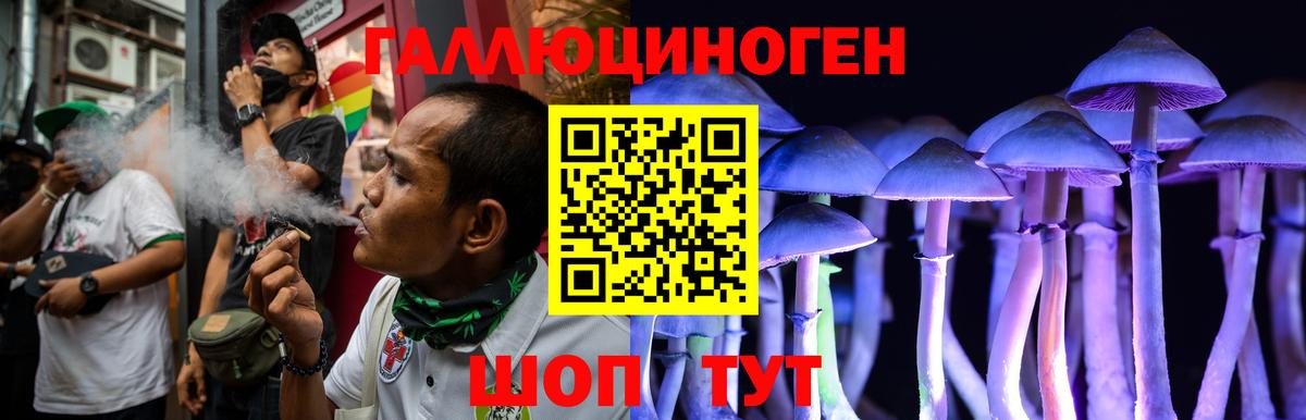 Бугульма  Псилоцибиновые грибы Psilocybe  Вход с VPN 